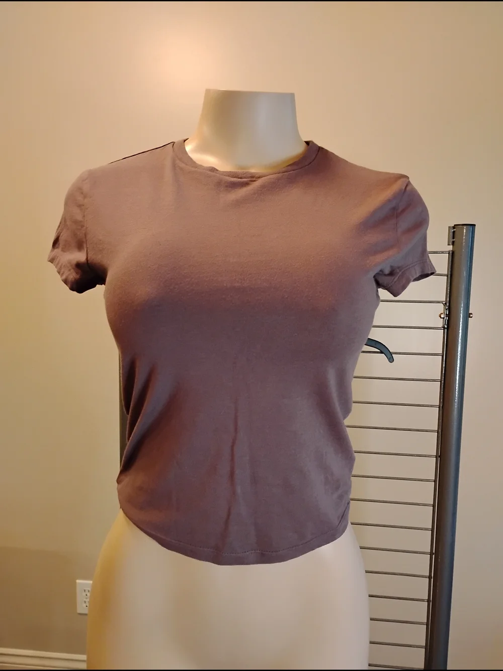 Wild fable Mauve Fitted‎ Crop Tee